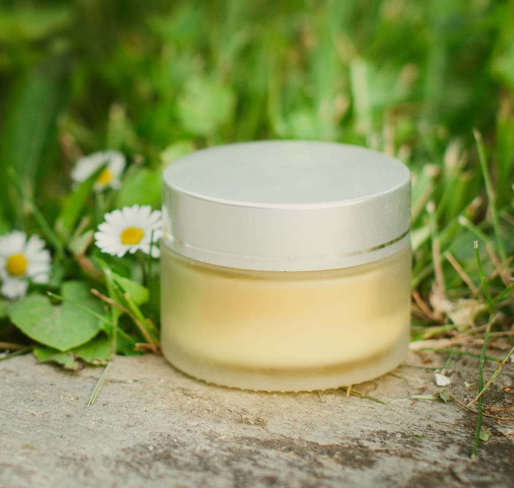 Gänseblümchenöl und Gänseblümchenbalsam selbst herstellen Gänseblümchen Balsam